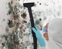  Stanford, CA Mold Removal Pros